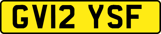 GV12YSF