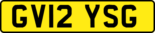 GV12YSG
