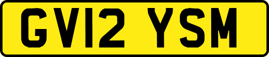 GV12YSM