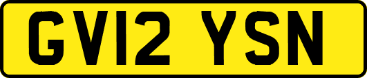 GV12YSN