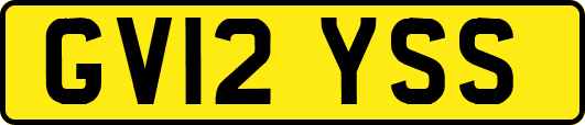 GV12YSS