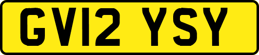 GV12YSY