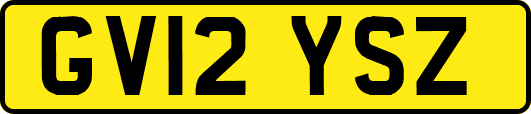 GV12YSZ