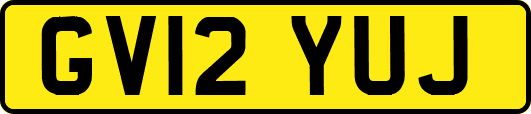 GV12YUJ