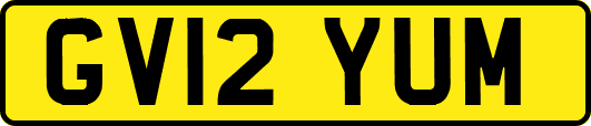 GV12YUM