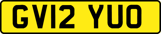 GV12YUO