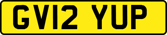 GV12YUP