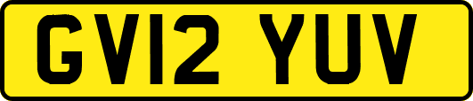GV12YUV