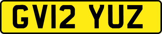 GV12YUZ
