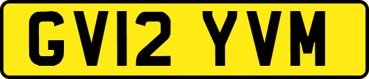 GV12YVM