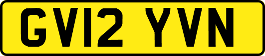 GV12YVN