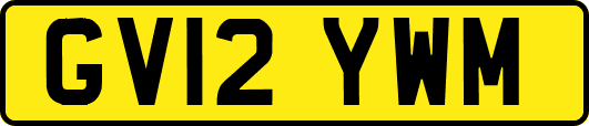 GV12YWM