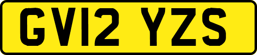 GV12YZS
