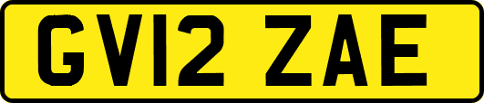 GV12ZAE