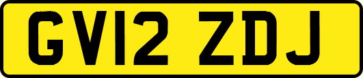 GV12ZDJ