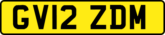 GV12ZDM