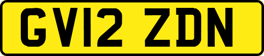 GV12ZDN