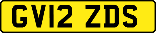 GV12ZDS