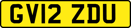 GV12ZDU