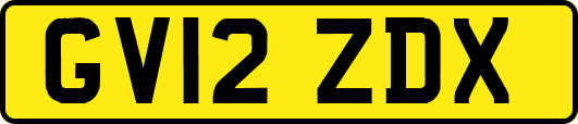 GV12ZDX
