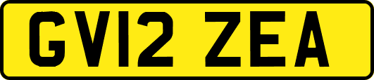 GV12ZEA