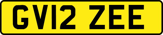 GV12ZEE