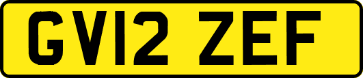 GV12ZEF