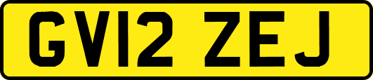 GV12ZEJ