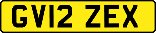 GV12ZEX
