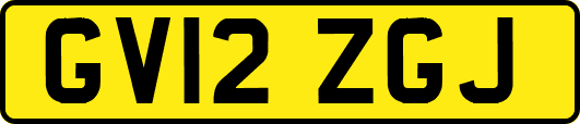 GV12ZGJ