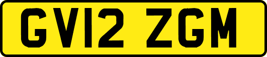 GV12ZGM