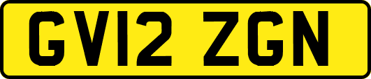 GV12ZGN