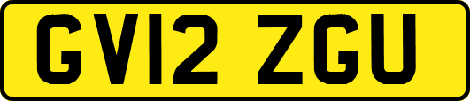 GV12ZGU