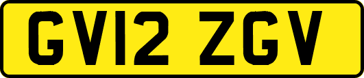 GV12ZGV