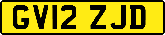 GV12ZJD