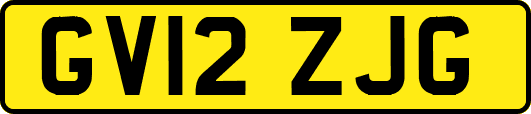 GV12ZJG