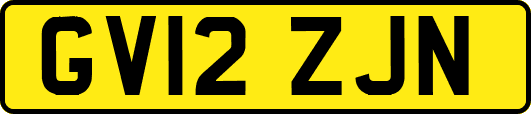 GV12ZJN