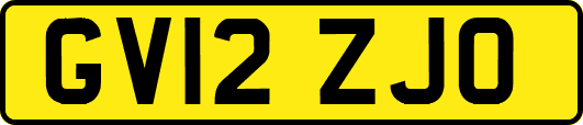 GV12ZJO