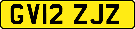 GV12ZJZ