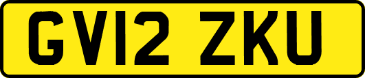 GV12ZKU