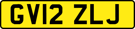 GV12ZLJ