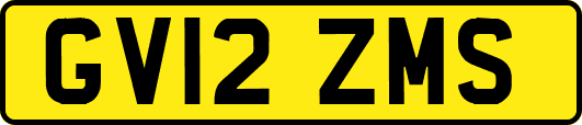 GV12ZMS