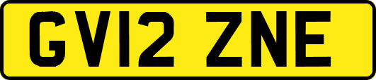 GV12ZNE