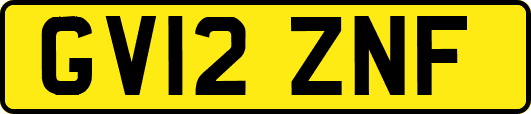 GV12ZNF