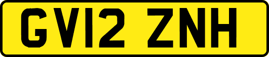 GV12ZNH
