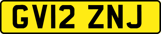 GV12ZNJ