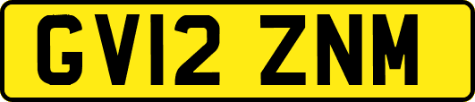 GV12ZNM