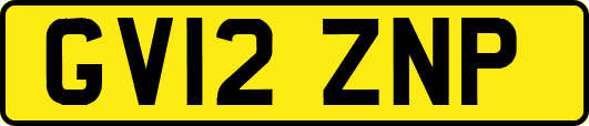 GV12ZNP