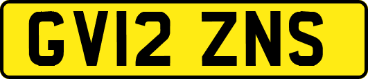 GV12ZNS