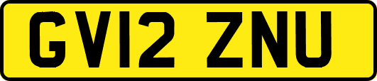 GV12ZNU